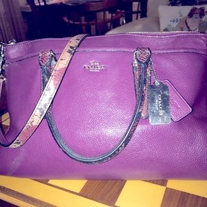 COACH HANDBAG SNAKE TRIM, pockets pockets pockets 8”  14.5”